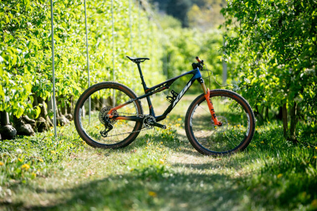 errori-manutenzione-bici